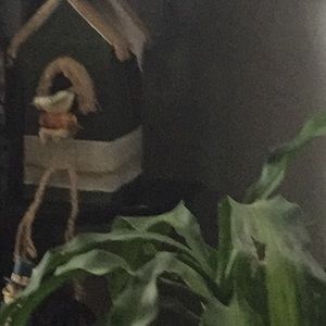 Meet your Posher, Holly